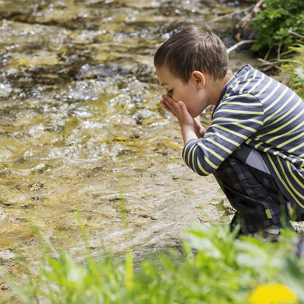 drank from a stream